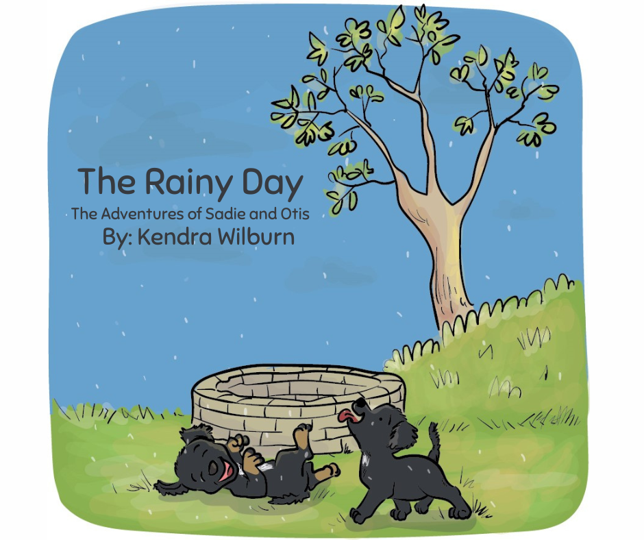 The Rainy Day